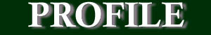 h-profil.JPG (7024 bytes)