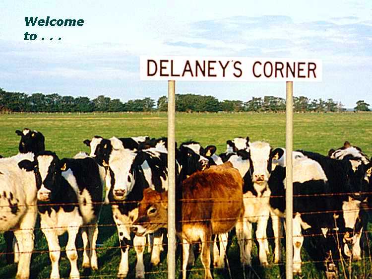 Click on the Delaney's Corner sign or the red heifer